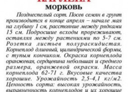 Морковь Карлена 2г (Аэлита)