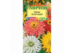 Цинния Подружки, низкорослая кактусовидная смесь (Гавриш)