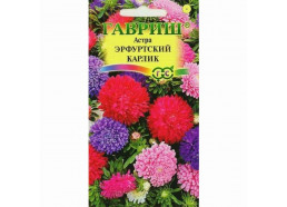 Астра Эрфуртский карлик, смесь 0,3 г (Гавриш)