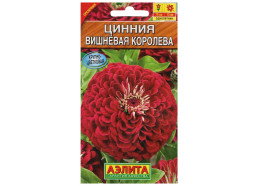 Цинния Вишневая королева (Аэлита)