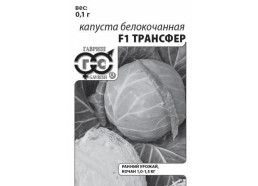 Капуста Трансфер F1 0,1г (Гавриш)