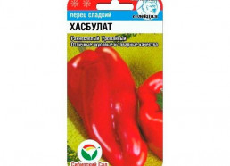 Перец Хазбулат 15шт (Сиб Сад)