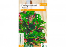 Кофе Арабика аравийский 5шт (Алтай)