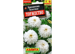 Хризантема Торжество букетная (Аэлита)
