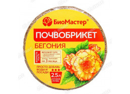 Бегония 2,5л почвобрикет (33шт/уп) (БиоМас)