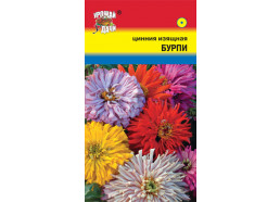 Цинния Бурпи 0,3г изящная (УУ)