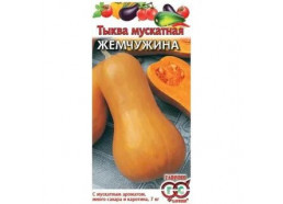 Тыква Жемчужина мускатная 2г (Гавриш)