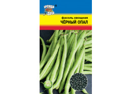 Фасоль Черный опал (УУ) 