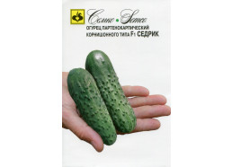 Огурец Седрик F1 (Семко)