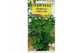 Шеффлера Грин Стар 3 шт (Гавриш)