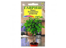 Фикус Бенджамина Дунетти 0,01 г (Гавриш)