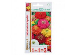 Цинния Нарядная клумба, крупная смесь 1+1 (Гавриш)