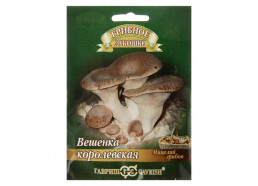 Вешенка Королевская на древесной палочке 12 шт (Гавриш)